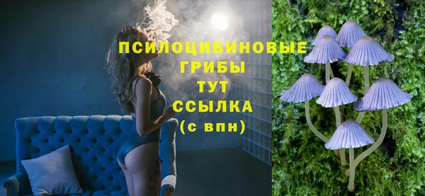 spice Алзамай