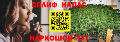 гашик Донской