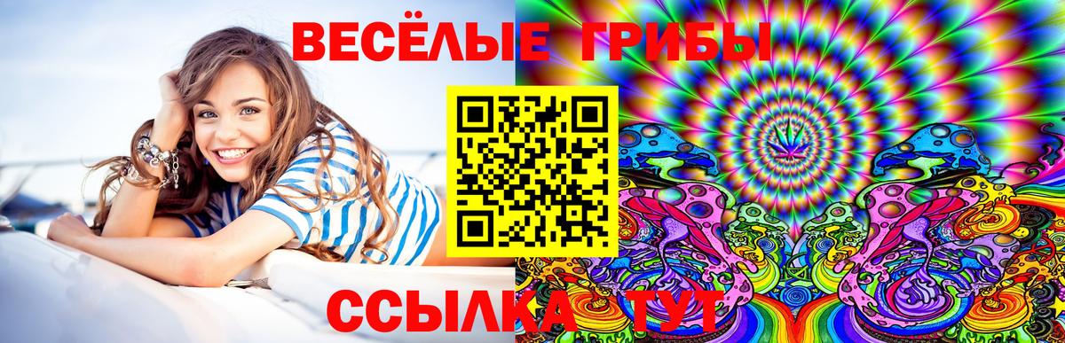 Петропавловск-Камчатский  Галлюциногенные грибы Psilocybine cubensis  Вход с VPN 