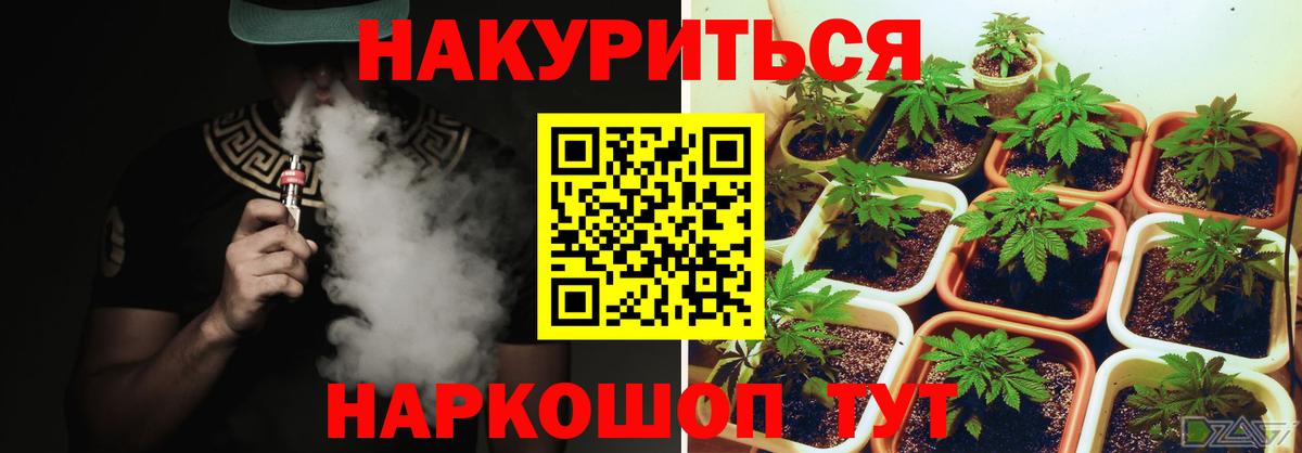 Бошки Шишки планчик  Вход с VPN  Канабис VHQ  Петропавловск-Камчатский 